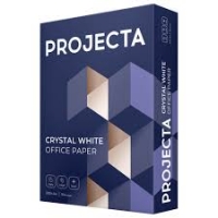 Бумага А4 500л Projecta B